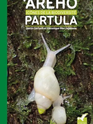 Areho, icônes de la biodiversité - Partula